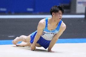 Gymnastics: national championships