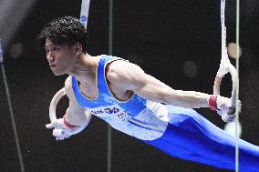 Gymnastics: national championships