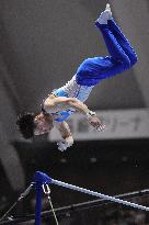 Gymnastics: national championships