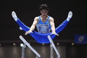 Gymnastics: national championships