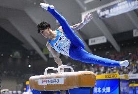 Artistic gymnastics: national championships