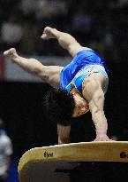Artistic gymnastics: national championships