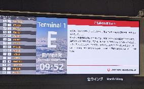 Traffic control glitch delay flights at Haneda airport