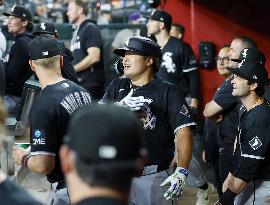 Baseball: White Sox vs. Diamondbacks