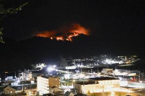 Wildfires in northeastern Japan