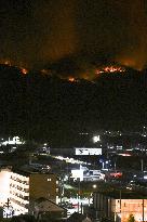 Wildfires in northeastern Japan