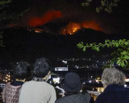 Wildfires in northeastern Japan
