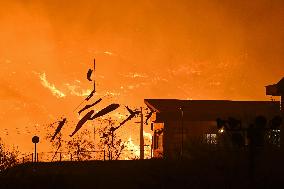 Wildfires in northeastern Japan