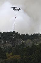 Wildfires in northeastern Japan