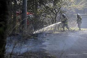 Wildfires in northeastern Japan