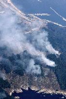 Wildfires in northeastern Japan