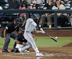 Baseball: White Sox vs. Diamondbacks