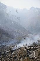 Wildfires in northeastern Japan