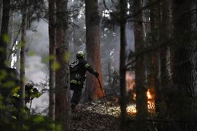 Wildfires in northeastern Japan