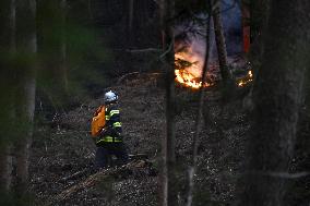 Wildfires in northeastern Japan