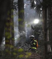 Wildfires in northeastern Japan