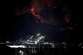 Wildfires in northeastern Japan
