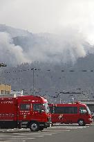 Wildfires in northeastern Japan