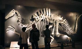 Great Dinosaur Exhibition