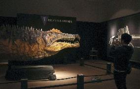 Great Dinosaur Exhibition