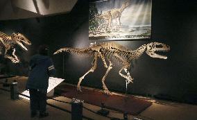 Great Dinosaur Exhibition