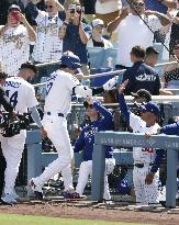 Baseball: Cubs vs. Dodgers