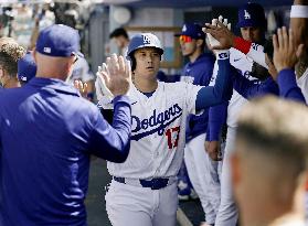 Baseball: Cubs vs. Dodgers