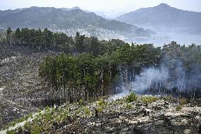 Wildfire in Iwate Pref.