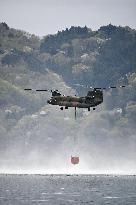 Wildfire in Iwate Pref.