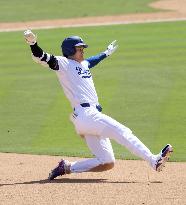 Baseball: Cubs vs. Dodgers