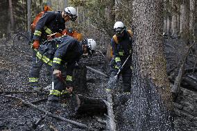Wildfire in Iwate Pref.