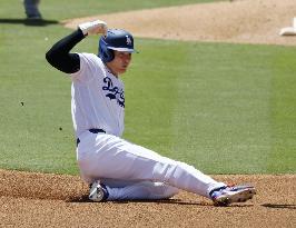 Baseball: Marlins vs. Dodgers