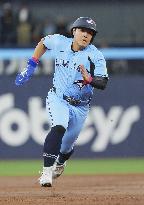 Baseball: Red Sox vs. Blue Jays