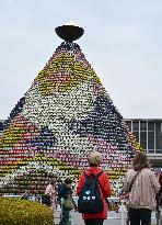 Hiroshima flower festival
