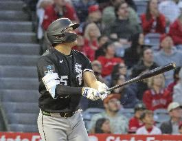 Baseball: White Sox vs. Angels