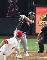 Baseball: White Sox vs. Angels