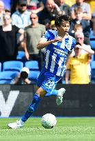 Football: Brighton winger Kaoru Mitoma