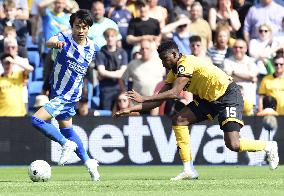 Football: Brighton winger Kaoru Mitoma