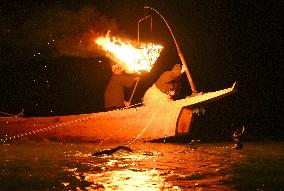 Opening of cormorant fishing season in central Japan