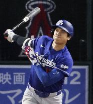 Baseball: Dodgers vs. Angels