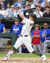 Baseball: Cubs vs. White Sox