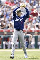 Baseball: Dodgers vs. Angels