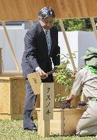 Japan emperor, empress at tree-planting ceremony