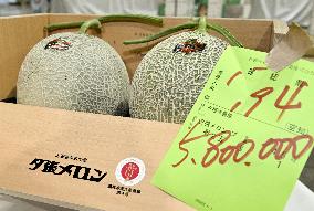 Premium melons from Hokkaido