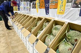 Premium melons from Hokkaido