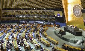 NPT review conference