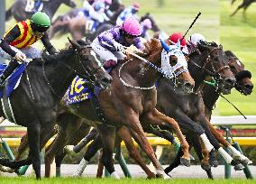 Horse racing: female jockey wins Japanese Oaks