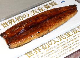 Launch of 1st sales of fully farmed eels