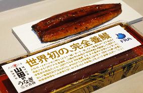 Launch of 1st sales of fully farmed eels