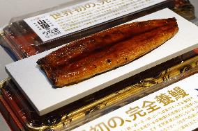Launch of 1st sales of fully farmed eels